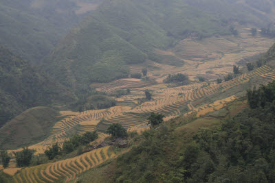 Hill Tribe Villages, Sa Pa, Vietnam