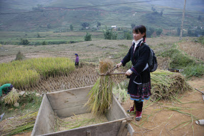 Hill Tribe Villages, Sa Pa, Vietnam