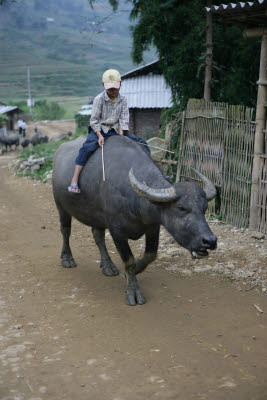 Hill Tribe Villages, Sa Pa, Vietnam