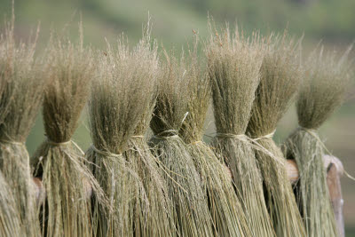 Hill Tribe Villages, Sa Pa, Vietnam