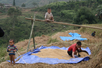 Hill Tribe Villages, Sa Pa, Vietnam