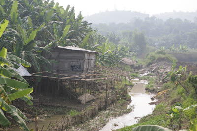 Hoa Binh