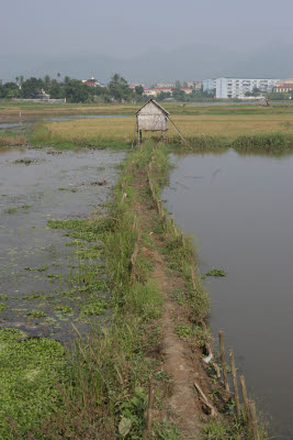 Hoa Binh