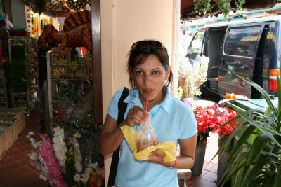 Ginger Tea to Go - In a Bag