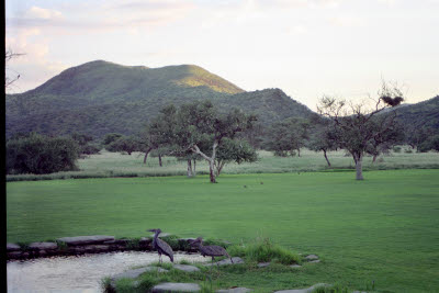 Lawn at Okapuka Ranch Lodge