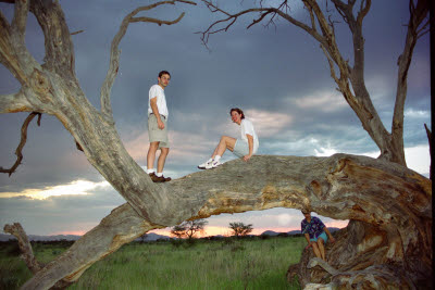 Sunset is a good time for a tree climb