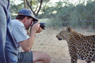 Sean photographs leopard throught the fence