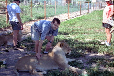 Mark pets a Lioness at Harnas