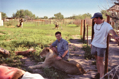 Mark pets a Lioness at Harnas
