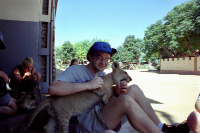 Lion cub sharpens it's teeth on Mark's hand