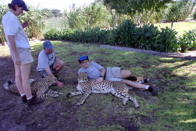 Lisa, Sean, and Mark hang out with a cheetah