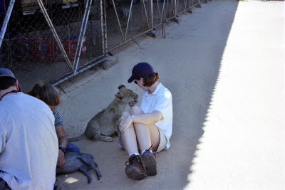 Lisa plays with lion cub at Harnas