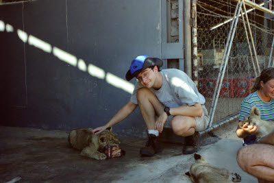 Mark pets a lion cub at Harnas