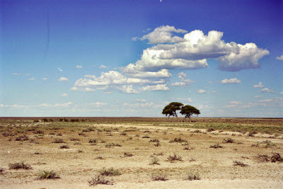 Etosha countryside