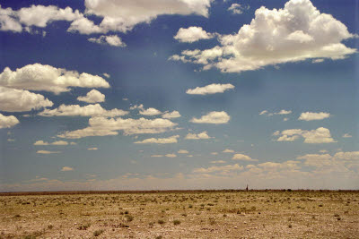 Giraffe wanders the wide open Etosha