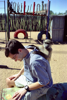 Baby baboons climb on Mark at Harnas