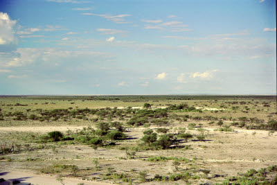 Etosha countryside viewed from the tower at Okekeujo