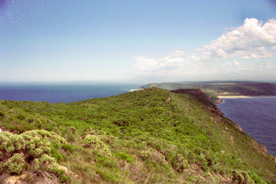 Hiking the Plettenberg Bay penisula