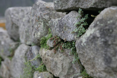 Machu Picchu, Peru