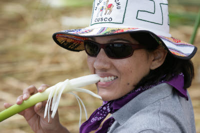 Eating Reeds, Uros Islands, Lake Titicaca, Peru