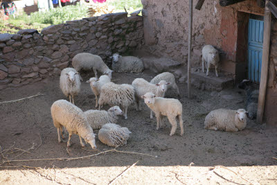 Amantani Island, Lake Titicaca, Peru