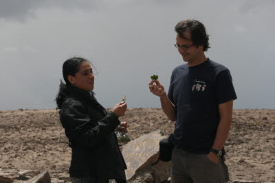 Making an offering at the Colca Canyon Pass