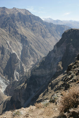 Colca Canyon, Peru