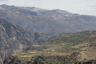 Colca Canyon, Peru