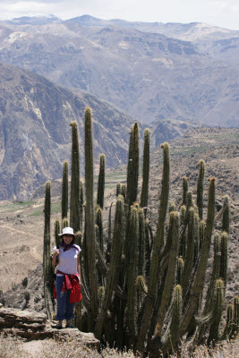 Colca Canyon, Peru