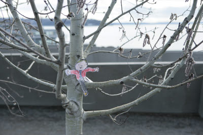 Flat Stanley Climbs a Tree