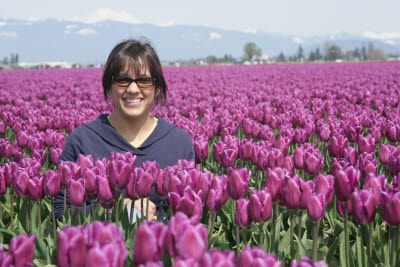 Skagit Tulip Festival