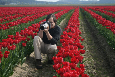 Skagit Tulip Festival