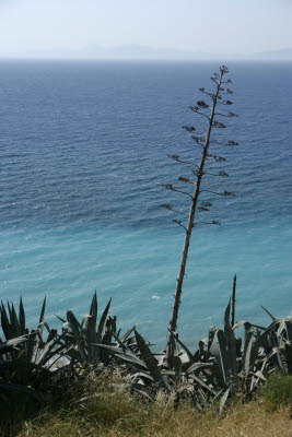 Aegean Sea