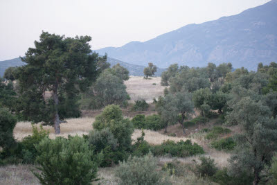 Hill of Xanthos are a living painting