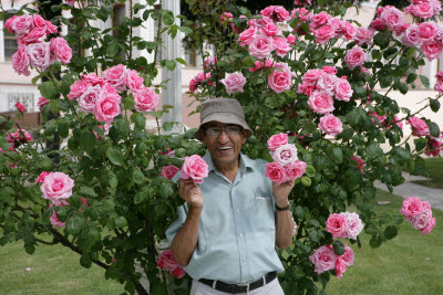 In the Flowers, Dolmabahce Palace, Istanbul