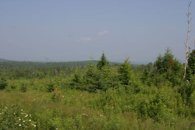 Great outdoors, Maine