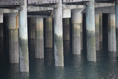 Water Under the Bridge