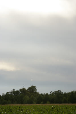 Big sky over farm