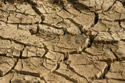 Cracked dry earth