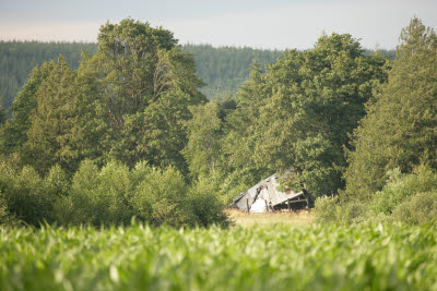 Fallen barn