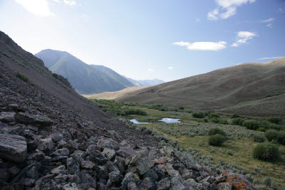 View of the ponds