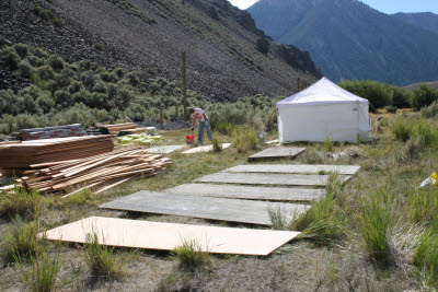 'Weathering' plywood siding with ironite