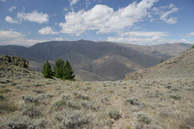 View from pasture at the peak