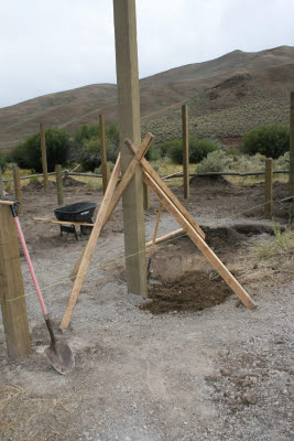 Setting the posts