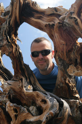 K.C. looking through tree roots