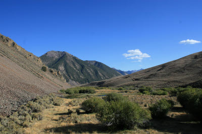 View from the roof