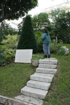 Yew Tree in Jardins Saint-Martin