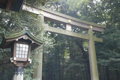 Lantern Near Temple