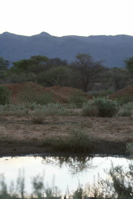 Evening view of Namibian Countryside