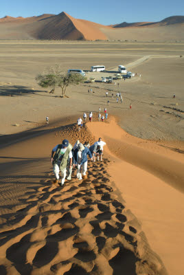 Tourist flock to dune 45
